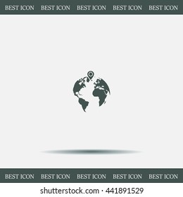 pin on globe icon