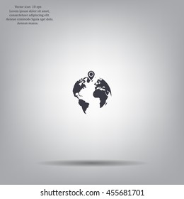 pin on globe icon