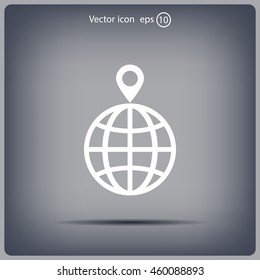 pin on globe icon
