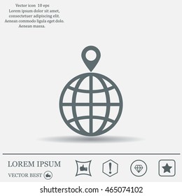 pin on globe icon