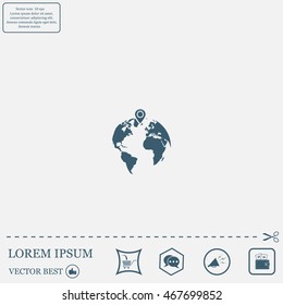 pin on globe icon