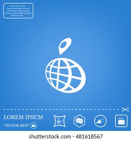 pin on globe icon