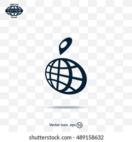 pin on globe icon