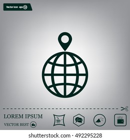 pin on globe icon