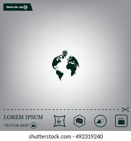 pin on globe icon