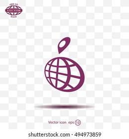 pin on globe icon