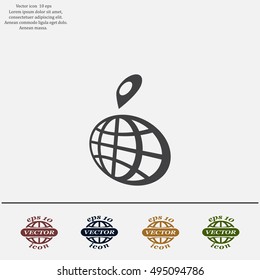 pin on globe icon