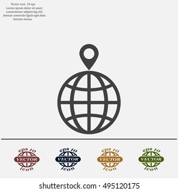 pin on globe icon