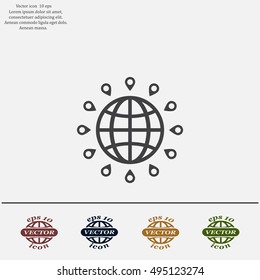 pin on globe icon