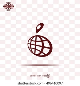 pin on globe icon