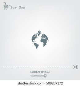 pin on globe icon