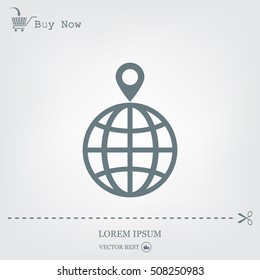 pin on globe icon