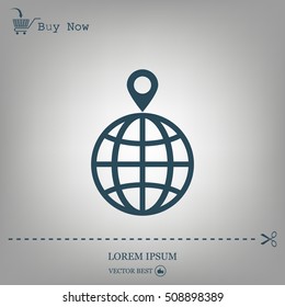 pin on globe icon