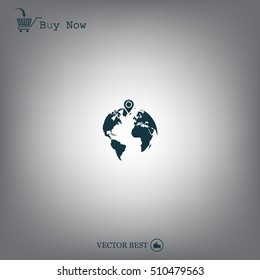 pin on globe icon