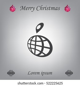 pin on globe icon