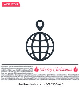 pin on globe icon