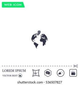 pin on globe icon