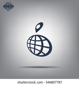 pin on globe icon