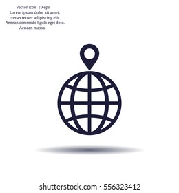 pin on globe icon