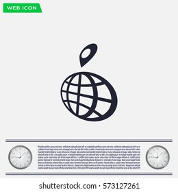 pin on globe icon