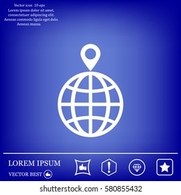 pin on globe icon