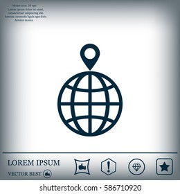 pin on globe icon