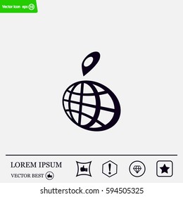 pin on globe icon