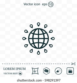 pin on globe icon