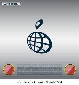 pin on globe icon