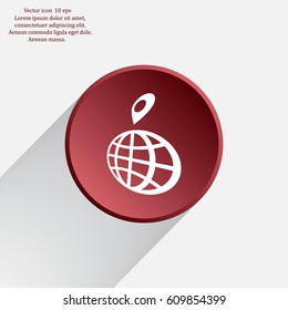 pin on globe icon