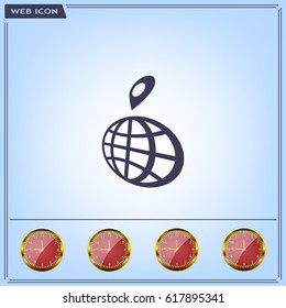 pin on globe icon