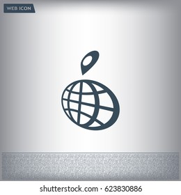 pin on globe icon