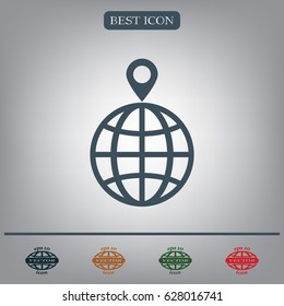 pin on globe icon