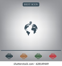 pin on globe icon