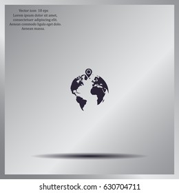 pin on globe icon