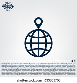 pin on globe icon