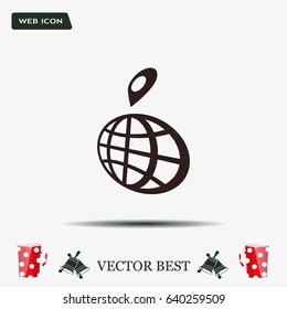 pin on globe icon