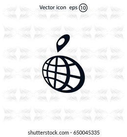 pin on globe icon