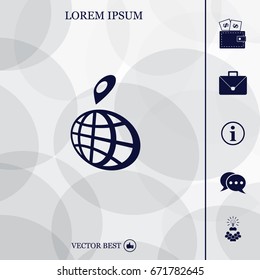 pin on globe icon
