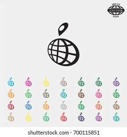 pin on globe icon