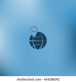pin on globe icon vector illustration