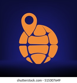 pin on globe icon vector illustration