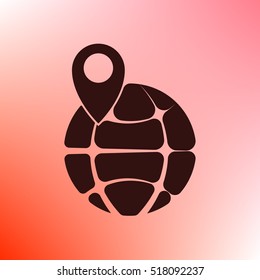 pin on globe icon vector illustration