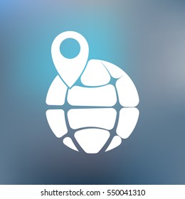 pin on globe icon vector illustration