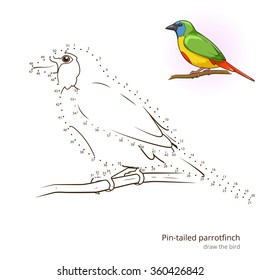 Pin tailed parrotfinch learn birds educational game learn to draw vector illustration