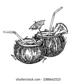 Pina colada cocktail in coconut. Sketch. Engraving style. Vector illustration.