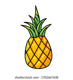 Pinaeapple vector in isolated background