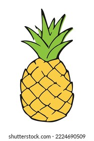 pinapple fruit vector illustration in flat vector design