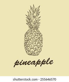 pinapple on background. vector sketches