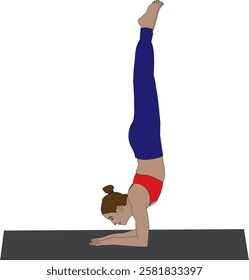 Pincha mayurasana, feathered peacock pose (forearm stand) yoga vector